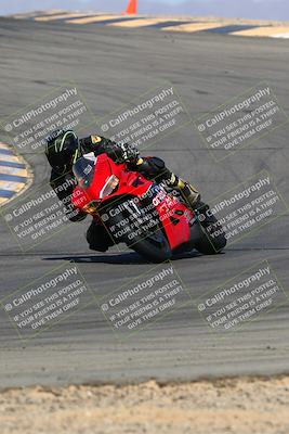 media/Mar-28-2022-Superbike Trackdays (Mon) [[b8603d0f67]]/Open Track Time/Turns 9 and 10/